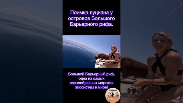 Поимка луциана у островов Большого Барьерного рифа. Крутая рыбалка🎣