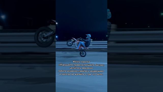 scene_output.mp4