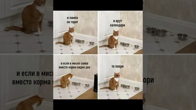МОЁ ПЕРВОЕ ВИДЕО ( НЕ СУДИТЕ СТРОГО )