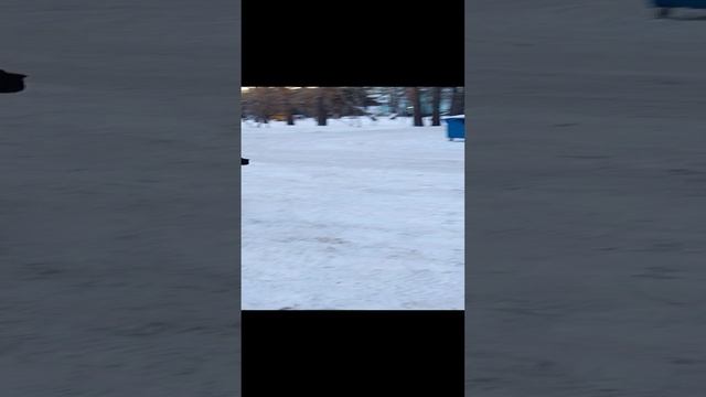 гочник нелегальный