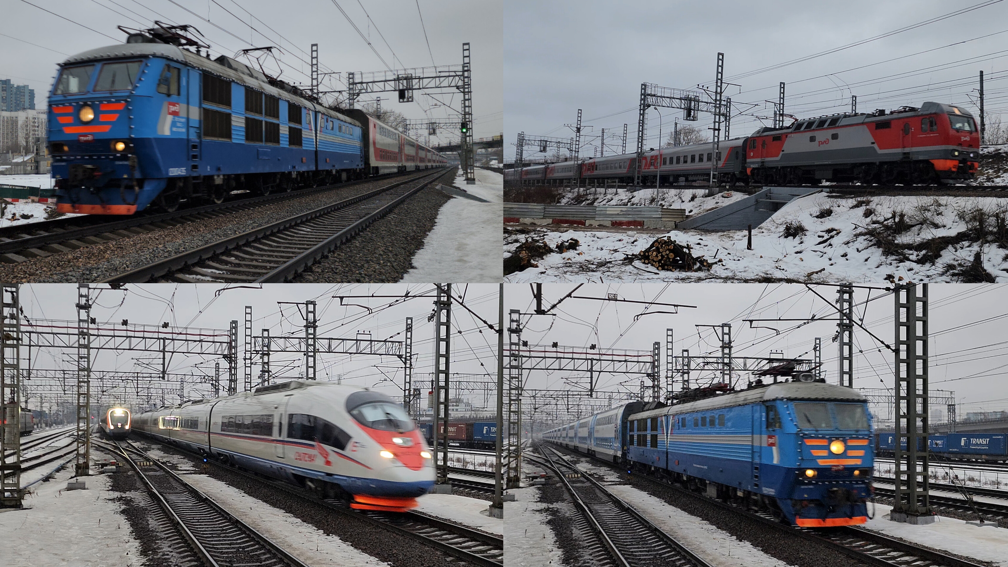 два синих ЧС6, Сапсаны, Аврора на 2 ЭП2К и другое | Октябрьская 8 января 2025