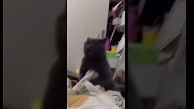 самое интересное видео найдено!😂
