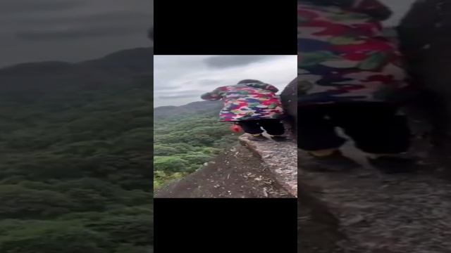 Свободная вакансия, зарплата высокая , выплаты после возвращения , знание языка необязательно 😄