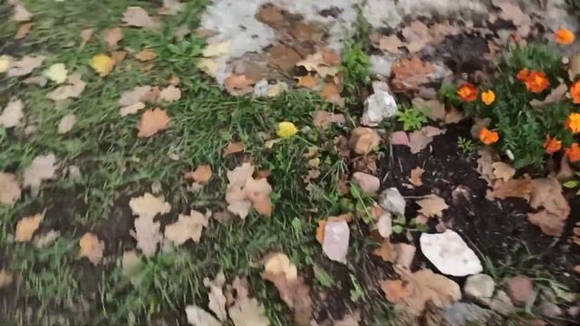 Адский глоток в бездну, бескрайние пустоты под землёй разведка абиссинки