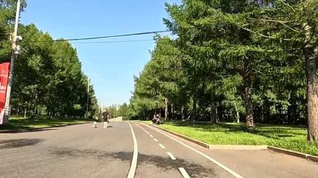 Гены у него нехорошие