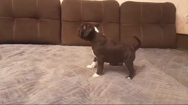 1000074799.mp4