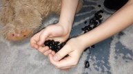 Мишка создал атомный реактор, но что то пошло не так...