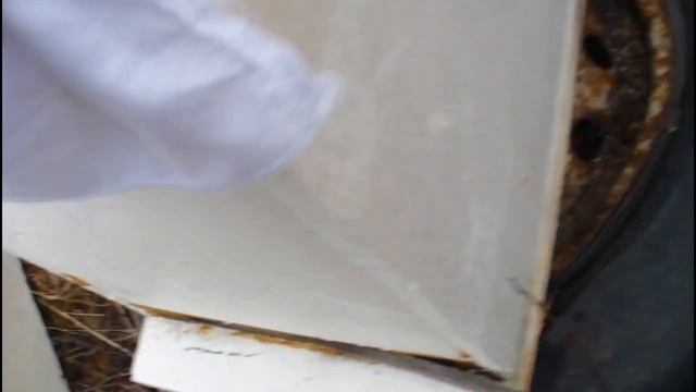 Зимовка без потерь!Выставили пчёл! В ожидании облёта!