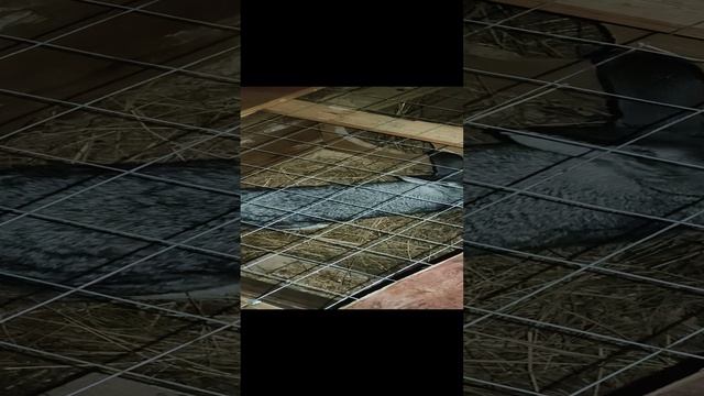 1000004237.mp4