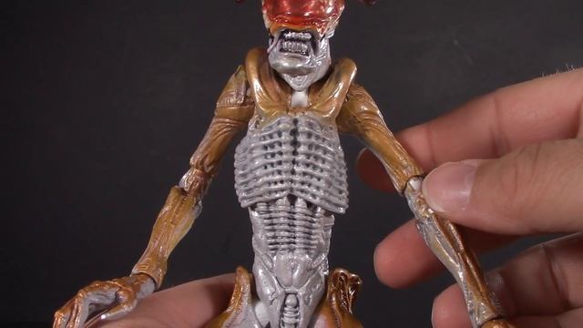 PANTHER ALIEN! NECA Kenner Aliens Tribute - 5POA Action Figure Review