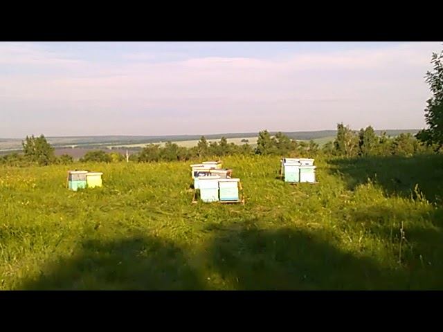 Выезд на экспарцет.