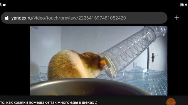 19-01-2025