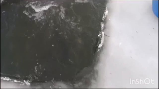 1000045977.mp4