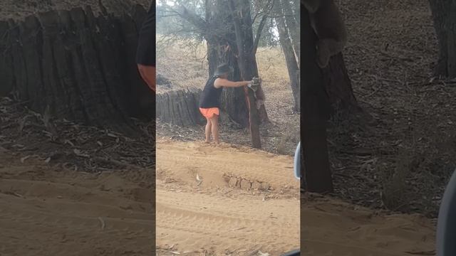 Посмеемся (101)