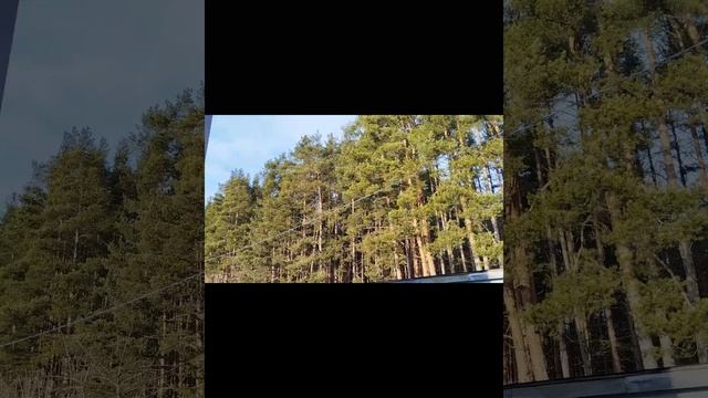 Ну чем не весна)