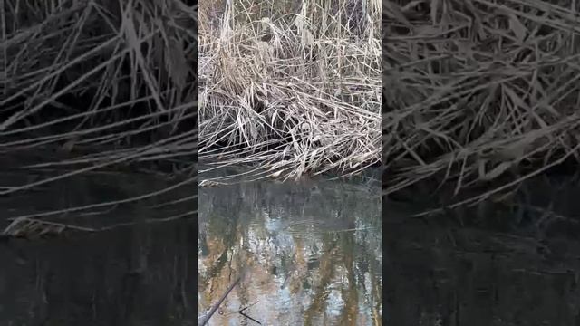 рыбалка на поплавок это для души