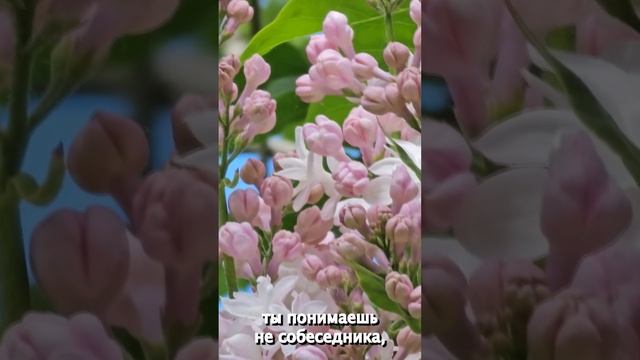 Настоящая любовь превыше иллюзорных ценностей-Узнайте Почему ЛЮБОВЬ превосходит материализм и фальшь