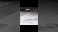 работа авто гранта фл