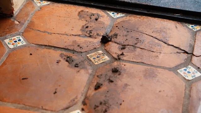 Go Getter 2
Unit 6 2 She asked me to babysit part1