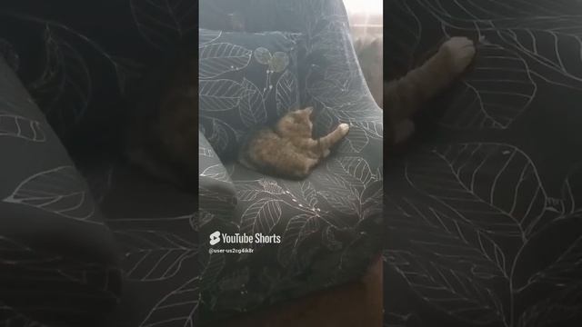 Устали 😴
