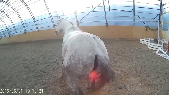 Любимое занятие после работы