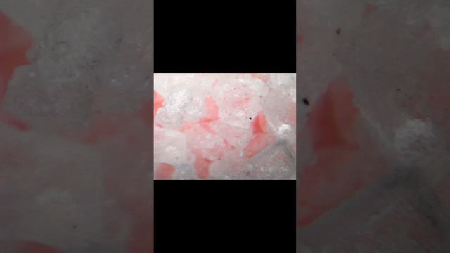 Сахар под микроскопом. #микромир #микроскоп #сахар #интересное