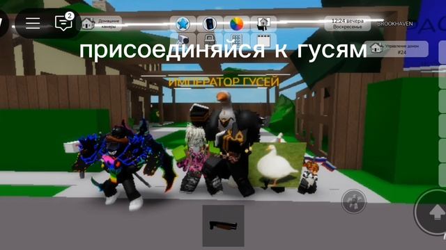 присоединяйся к команде гусей