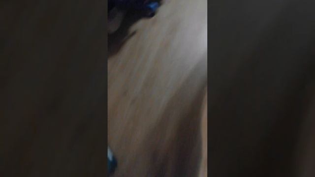 Метаком Cdd 2094М🤣😂😂😹😹