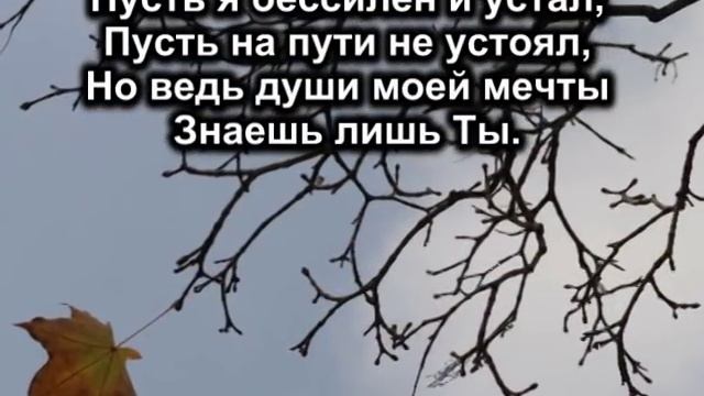 Господь я Тебе благодарен