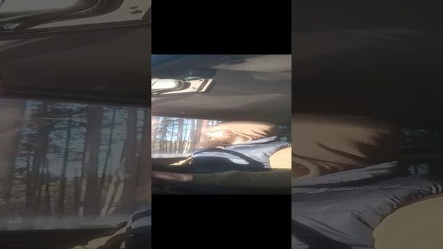 Про любовь