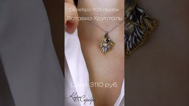 IMG_9364