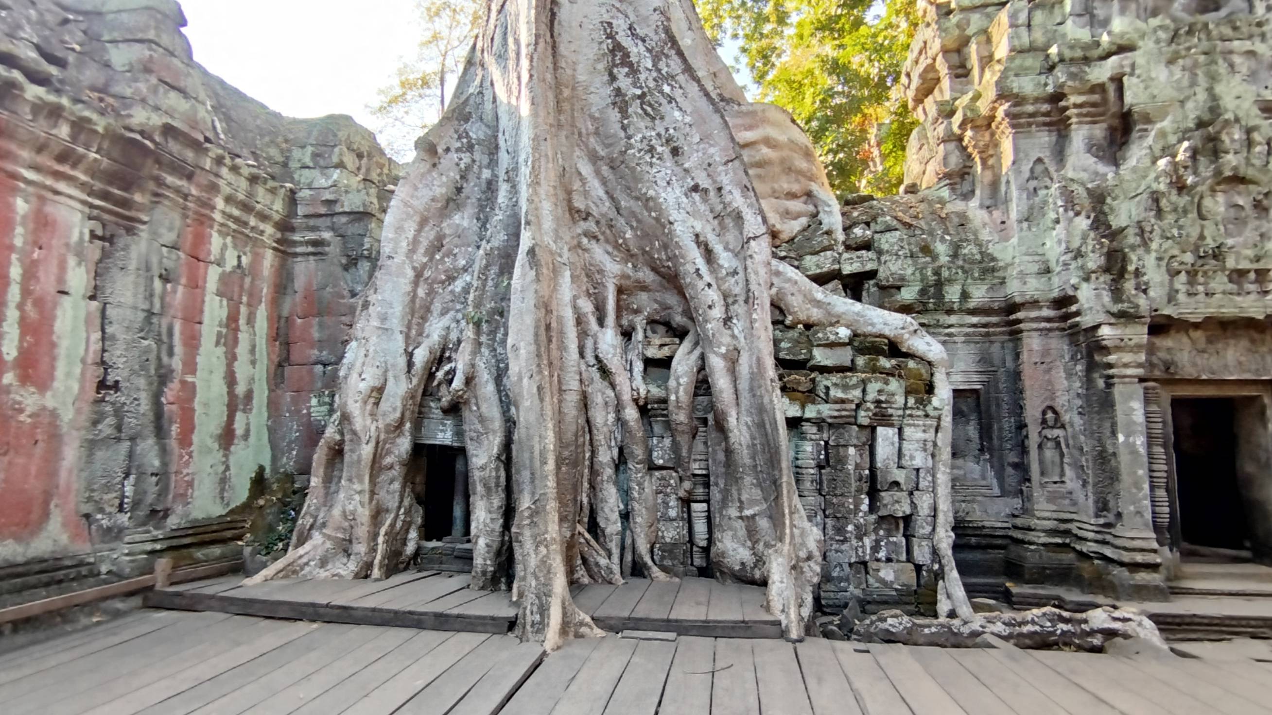 Ta Prohm Temple