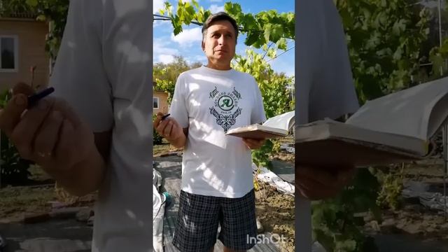 2023 г Самый вкусный виноград