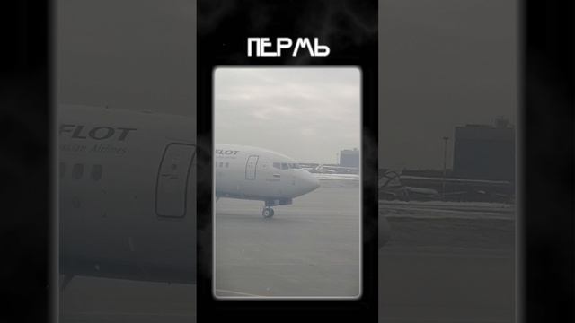 Рилс-портфолио