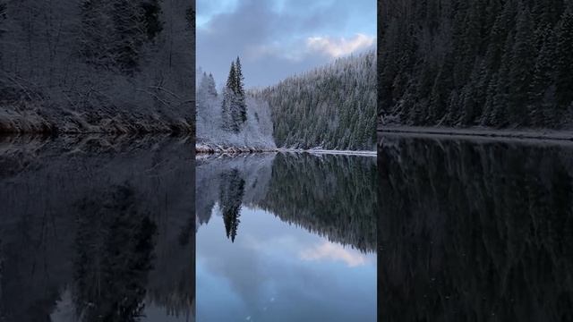 видео