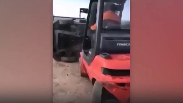 Смешные видео