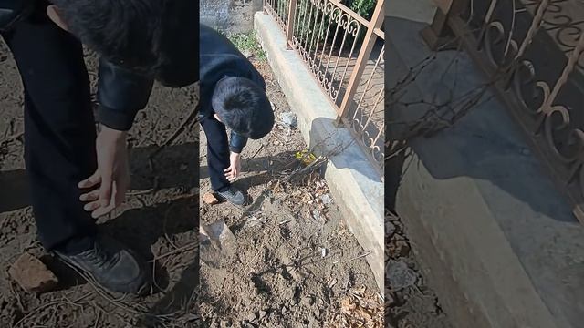 Urganch shahar Afrosiyob ko'chasi