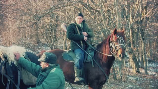 Охота на волка