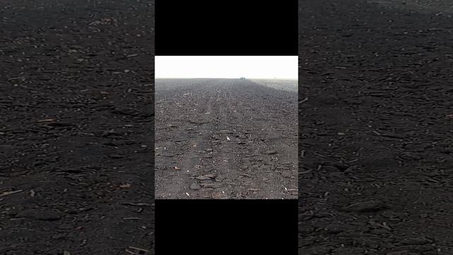 Подсев озимой пшеницы в ноябре .mp4