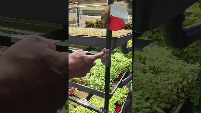 Живая Еда Сити Ферма | Sity Farm