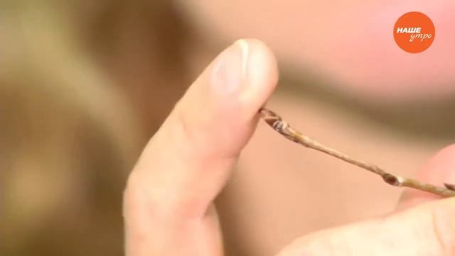 Эффективное средство от простуды и гриппа