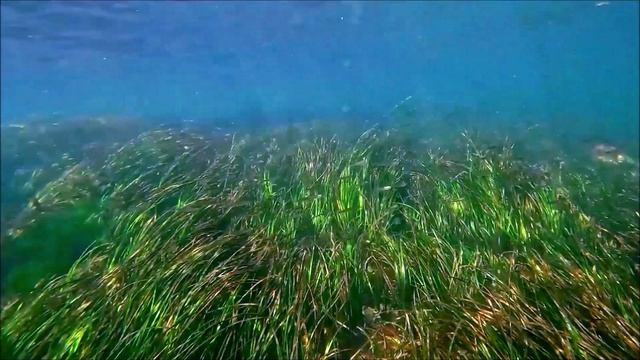 п. Южно-Морской    08.08.2024 г.