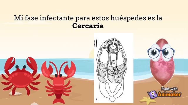 Paragonimiasis