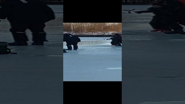 Рыбалка в Рыбном