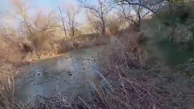 Взрывают питарды самоя последняя😶