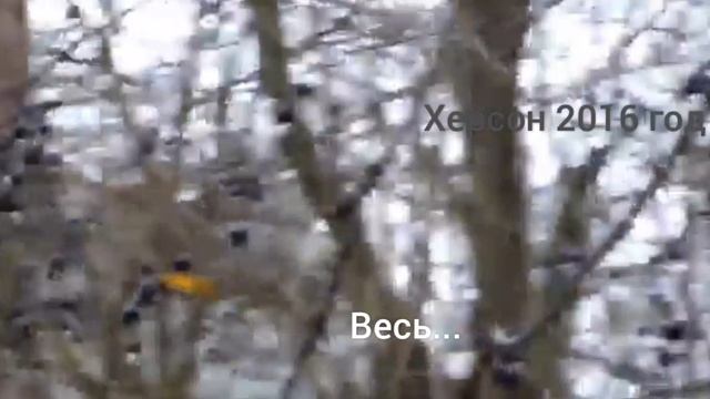 В херсонском парке, 2016 год