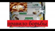 Клещ ВАРРОА. Правило борьбы.