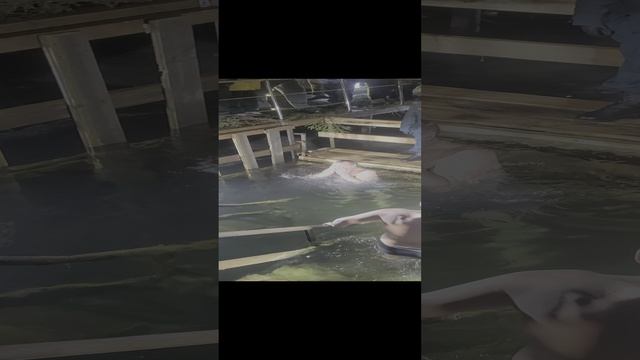 Крещение в пруду г.Серпухов со свечением ,смотрите внимательно ‼️