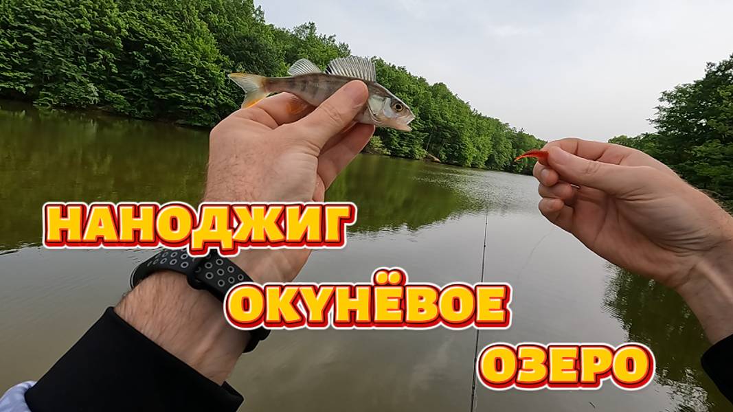 Наноджиг окунёвое озеро.