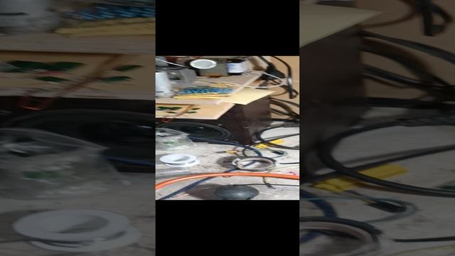 1000137890.mp4